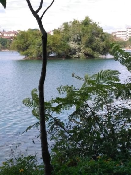 Manipal Lake-4